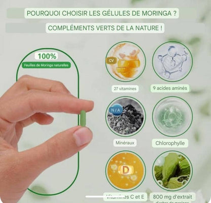 Capsules de Moringa